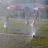 Zobacz w powiększeniu: Dożynki Gminne Baranów 2025 (4)